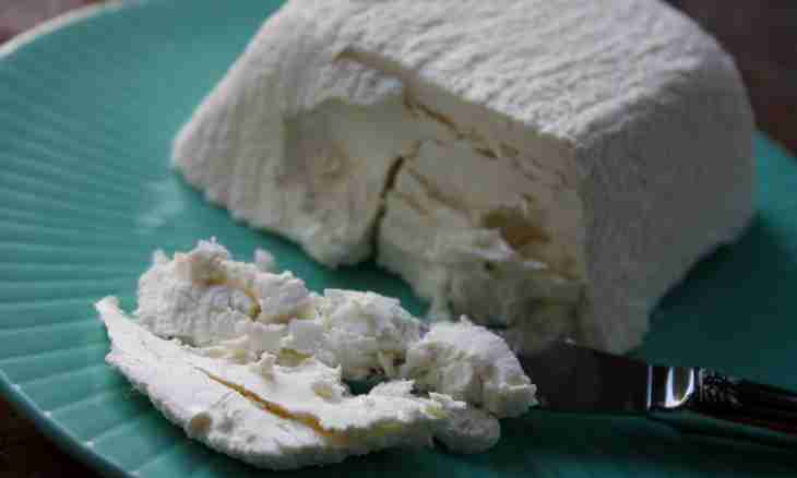 How to prepare a goat cheese